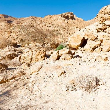 İsrail 'de Negev Çölü