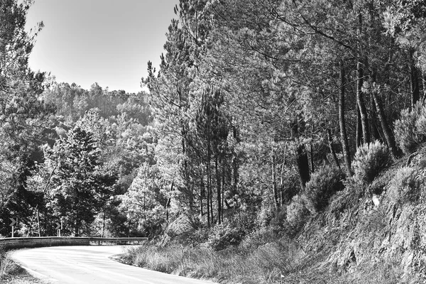 Tepeler arasındaki yol — Stok fotoğraf