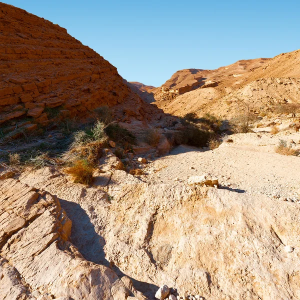 Negev Desert in Israel — Stock Photo, Image