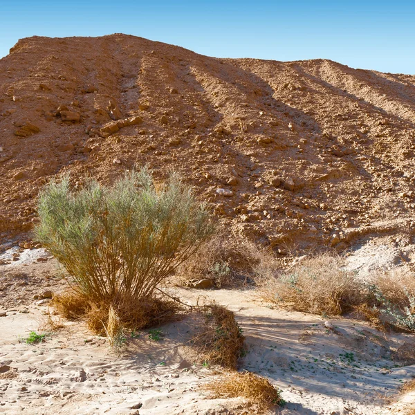 Desierto del Negev en Israel — Foto de Stock