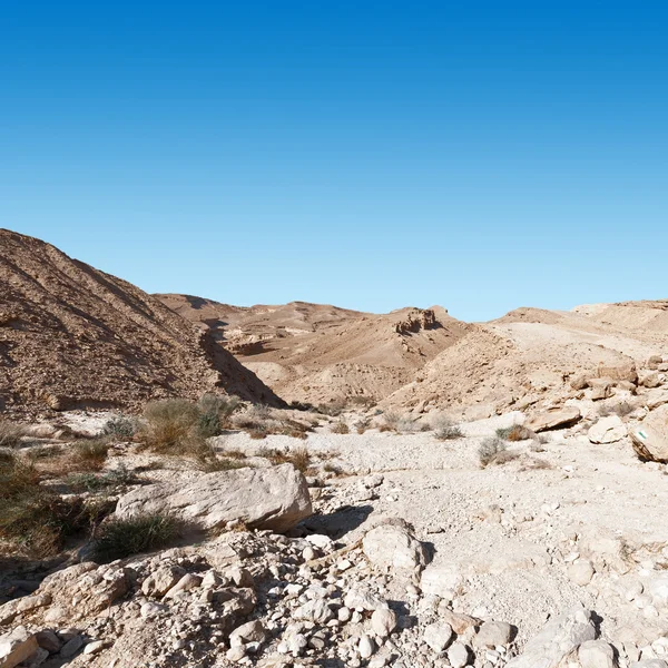 Negev woestijn in Israël — Stockfoto