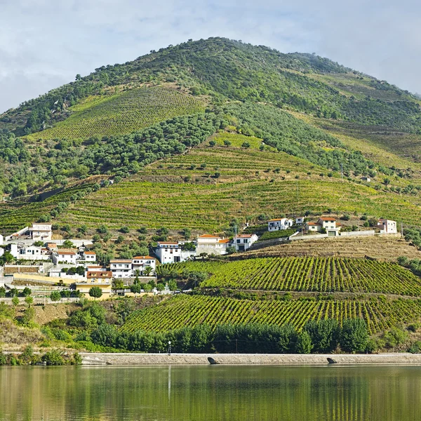 Banks of the River Douro — Stock Photo, Image