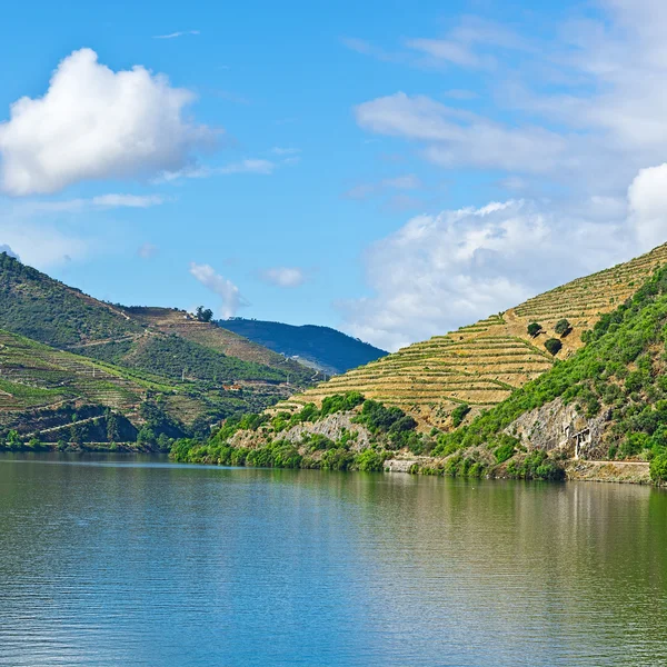 Portekiz 'de River Douro