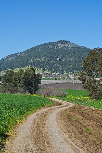 Mount Tabor in Israel