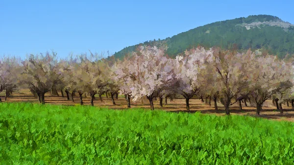 Jardín de almendras con flores —  Fotos de Stock