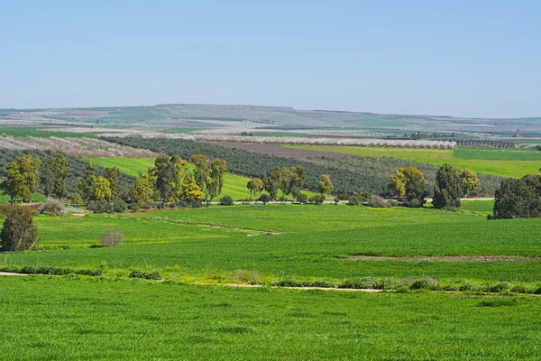 Vale do Jezreel em Israel — Fotografia de Stock