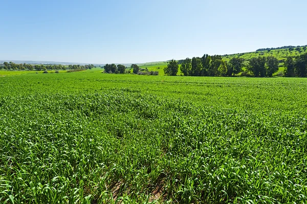 Valle de Jezreel en Israel — Foto de Stock