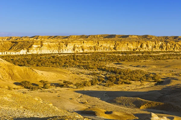 Desierto en Israel — Foto de Stock