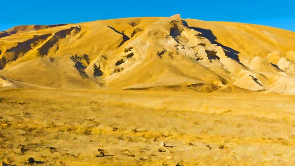 Desert in Israel — Stock Photo, Image