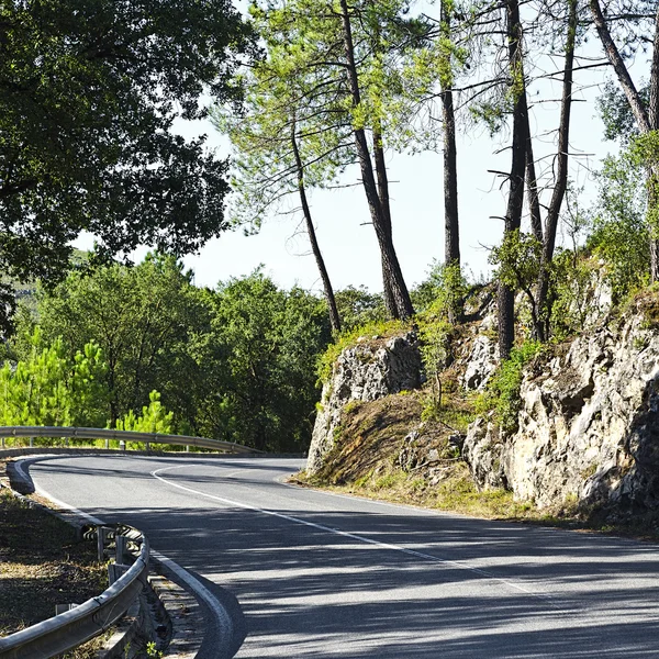 Asphalt in Portugal — Stock Photo, Image