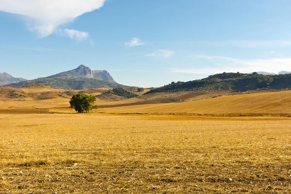 Долина Испании — стоковое фото