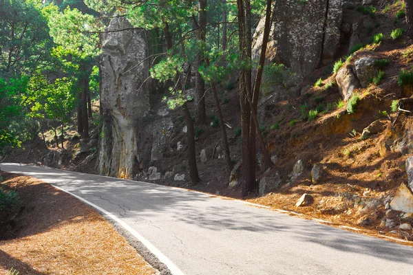 Estrada florestal em Espanha — Fotografia de Stock