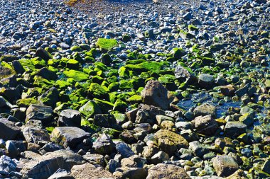 Taşı olarak Backgraund