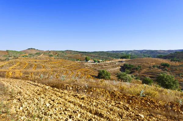 Hills of Portugal — Stock Photo, Image