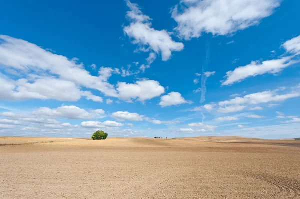 Campos Plowed em Espanha — Fotografia de Stock