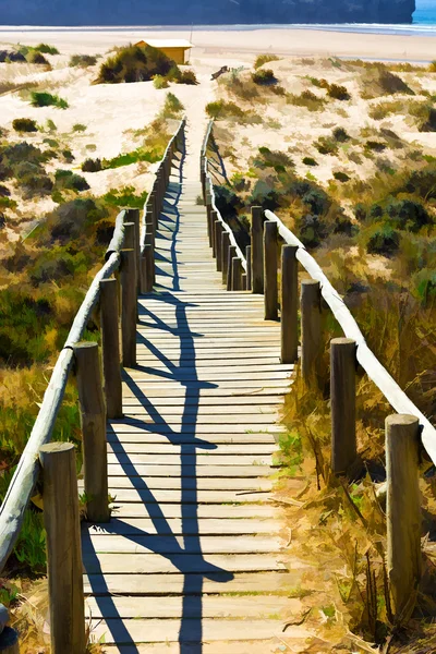 Pasarela de madera en Portugal —  Fotos de Stock