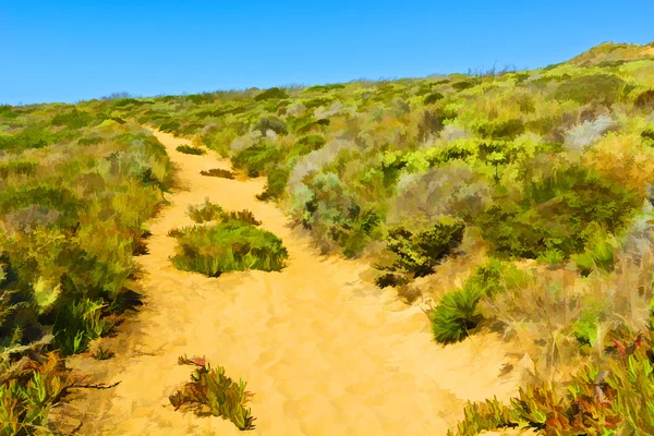 Road between Dunes — Stock Photo, Image