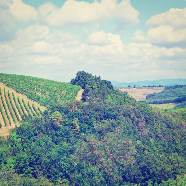 Collina di Toscana — Foto Stock