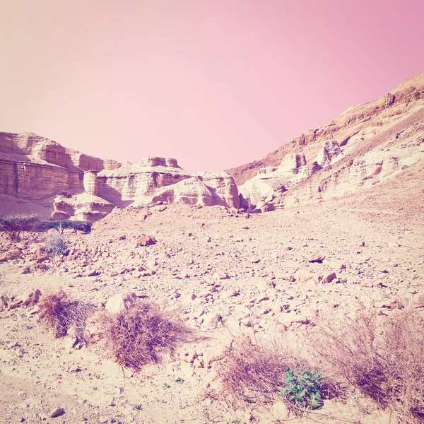 Роки-Хиллз в пустыне — стоковое фото