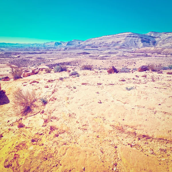 Desert in Israel — Stock Photo, Image