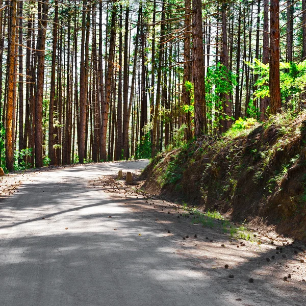 Road in Italy — Stock Photo, Image