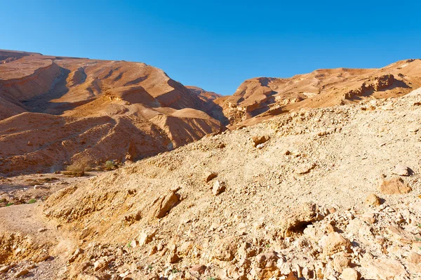 Desert in Israel — Stock Photo, Image