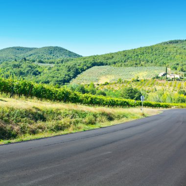 Hedef ayar kavramı - saf