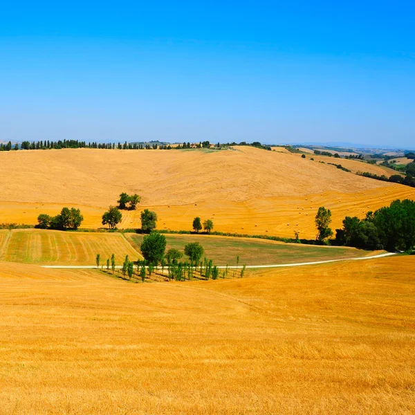 Hay Bales in Italy — Stock Photo, Image