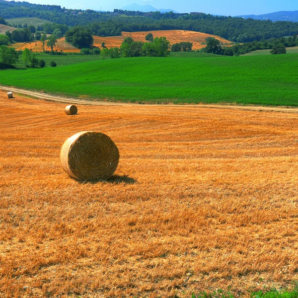 Táj, Olaszország — Stock Fotó