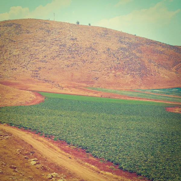 Hills of Samaria — Stock Photo, Image