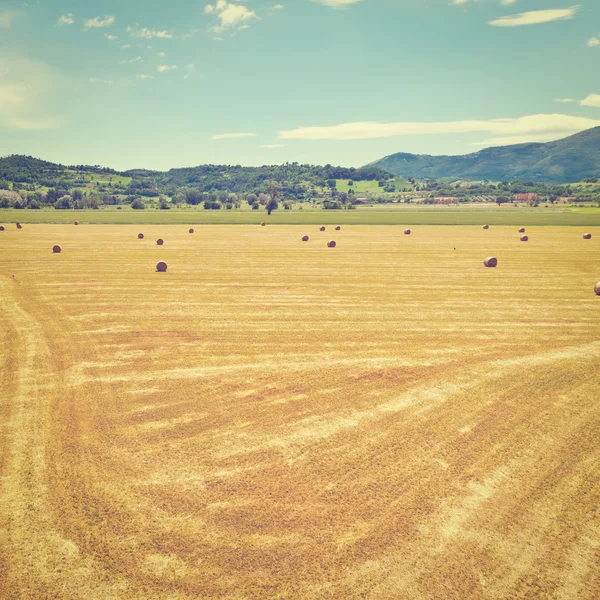 Paisagem com feno — Fotografia de Stock