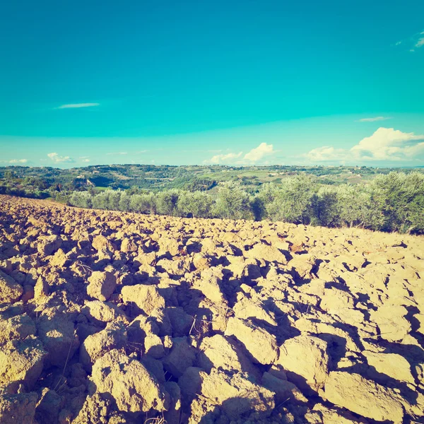 Campo Plowed in Italia — Foto Stock