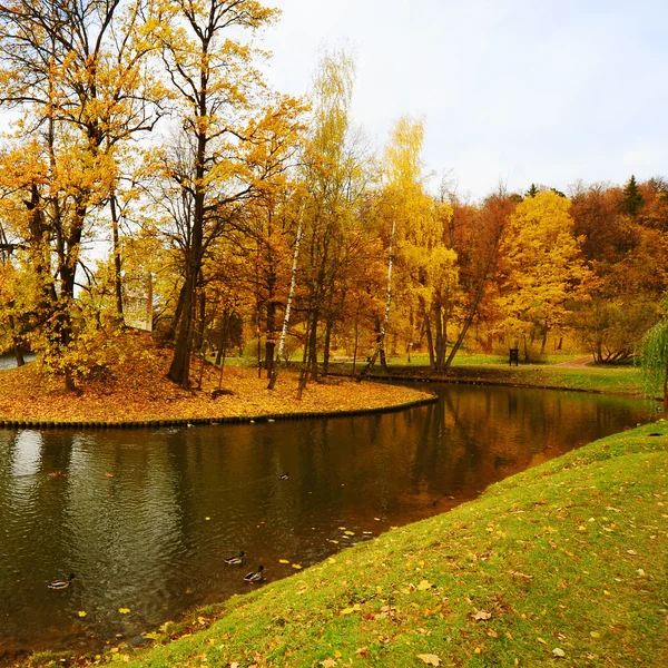 Wyspa w Rosji — Zdjęcie stockowe