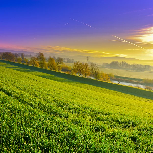 Pasture in Switzerland — Stock Photo, Image