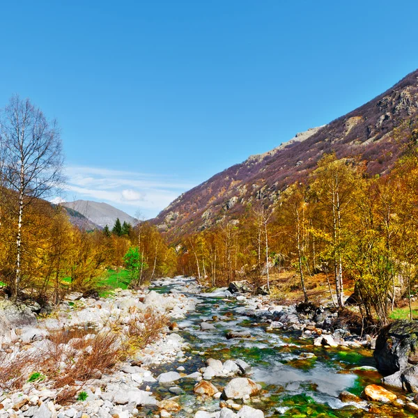 Ruisseau de montagne dans les Alpes italiennes — Photo