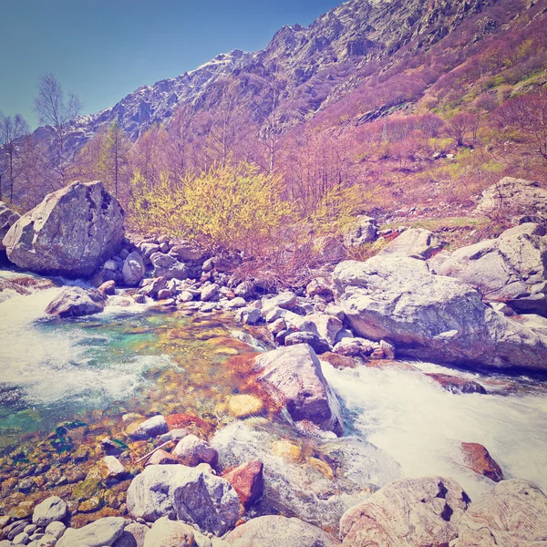 Ruisseau de montagne dans les Alpes italiennes — Photo