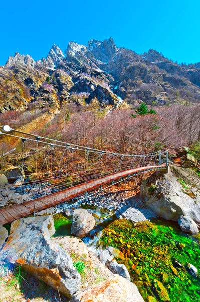 Most přes horský potok — Stock fotografie
