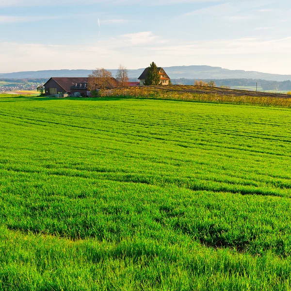 Farmhouse in Switzerland — Stock Photo, Image