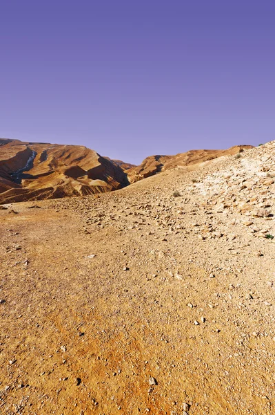 Deserto em Israel — Fotografia de Stock