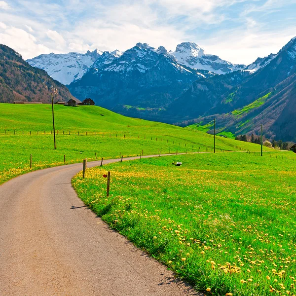 Caminho do Asfalto nos Alpes Suíços — Fotografia de Stock