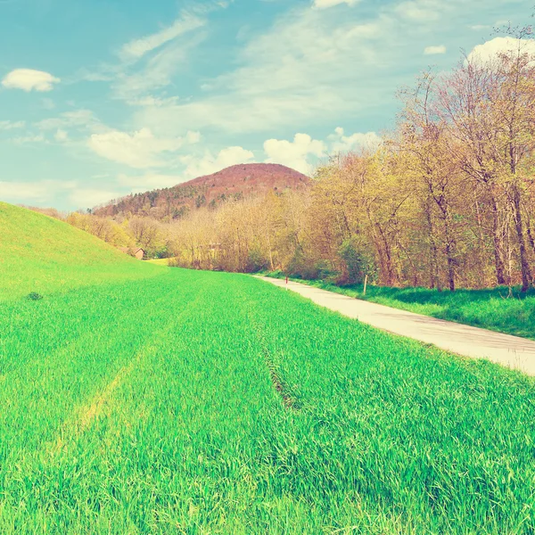 Asphalt Path in Alps — Stock Photo, Image