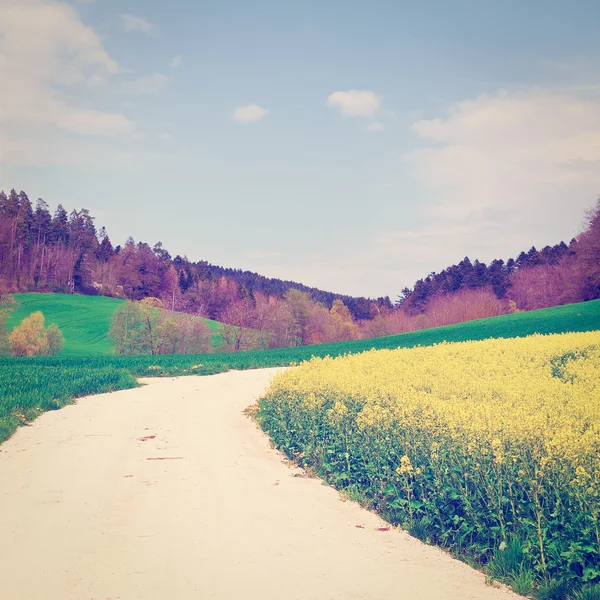 Strada sterrata nelle Alpi — Foto Stock