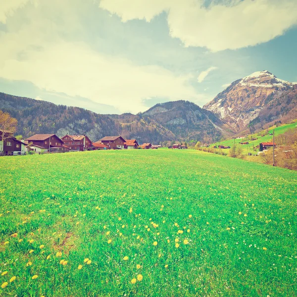 Schweizer Stadt umgeben von Wiesen — Stockfoto