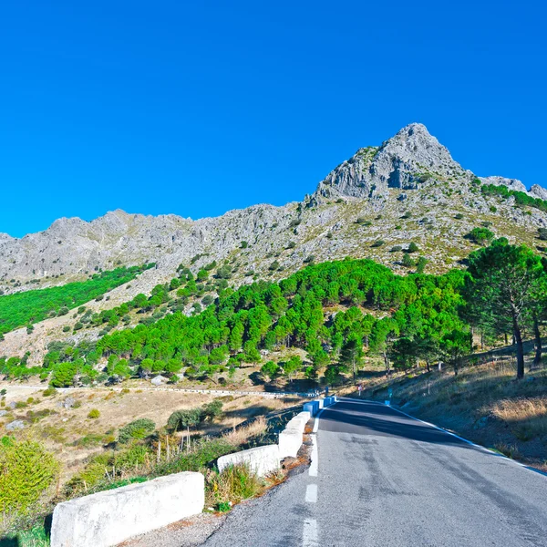 Cantabria Dağları'nda yol — Stok fotoğraf