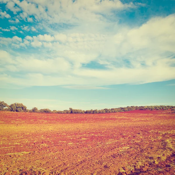 Campos Plowed de Espanha — Fotografia de Stock