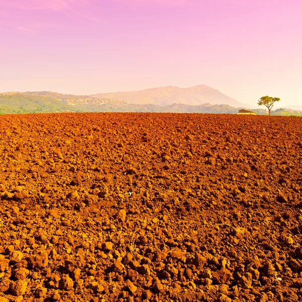 Plowed Fields in Italy — Stock Photo, Image