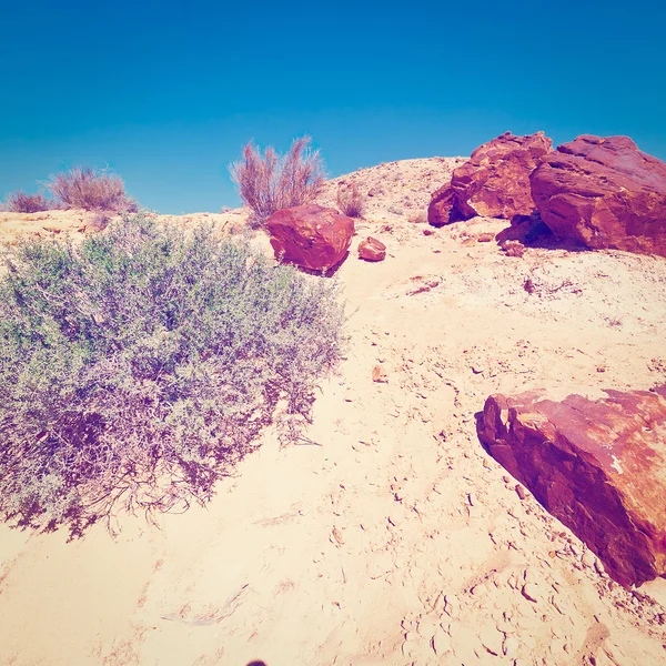 Rocky Hills of the Negev Desert — Stock Photo, Image