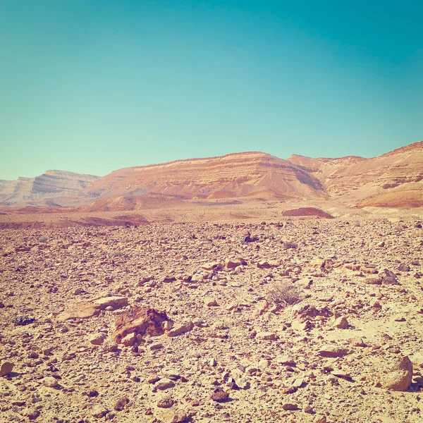네 겝 사막 바위 언덕 — 스톡 사진
