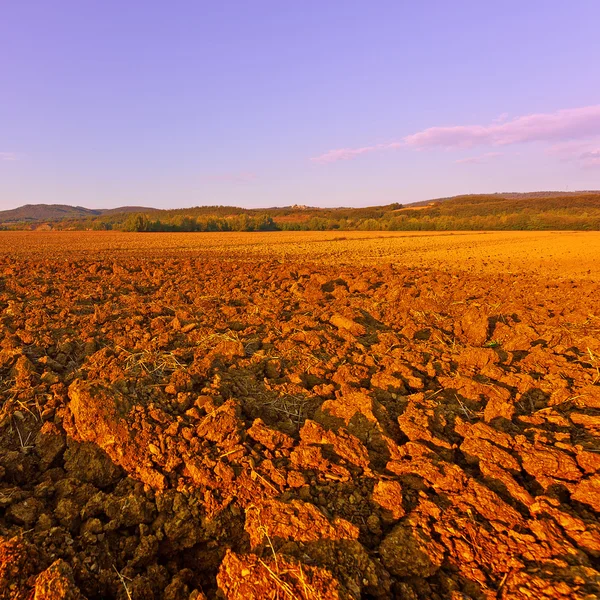 Plowed Fields of Italy — Stock Photo, Image