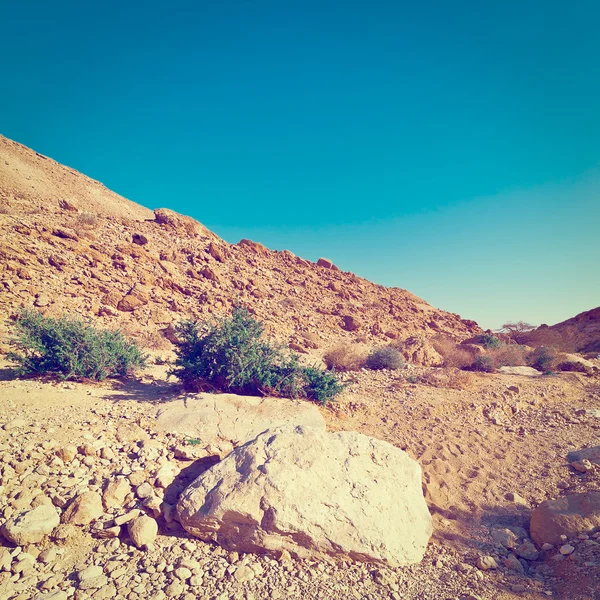 Rocky Hills of te Negev ørkenen - Stock-foto